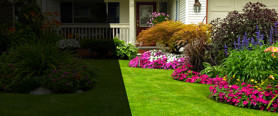 Medina Landscapers