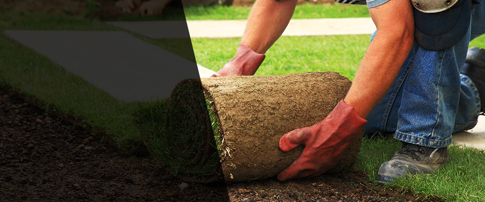 Medina Landscapers